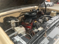 1978 Chevrolet Silverado for sale in Michigan (ID-142700)