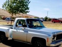 1978 Chevrolet Stepside for sale in Michigan (ID-155544)