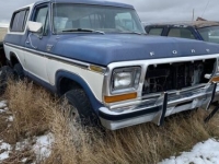 1978 Ford Bronco for sale in Michigan (ID-125898)