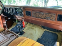 1978 Ford Bronco for sale in Michigan (ID-126407)