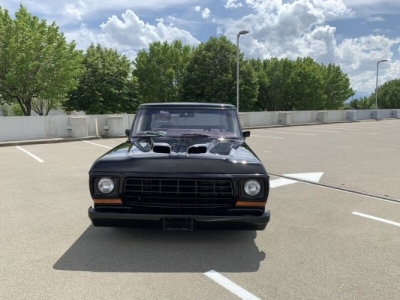 1978 Ford F100 for sale
