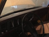 1978 Ford F150 for sale in Michigan (ID-128020)