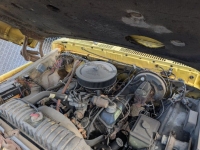 1978 Ford F250 for sale in Michigan (ID-161517)