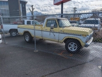 1978 Ford F250 for sale in Michigan (ID-161517)