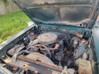 1978 Ford Fairmont for sale in Michigan (ID-118602)