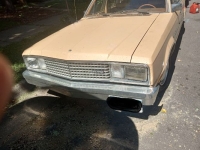 1978 Ford Fairmont for sale in Michigan (ID-134413)