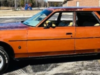 1978 Ford LTD for sale in Michigan (ID-126039)