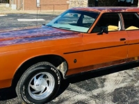 1978 Ford LTD for sale in Michigan (ID-126039)