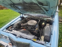 1978 Ford LTD for sale in Michigan (ID-136099)