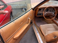 1978 Ford Mustang for sale in Michigan (ID-117132)
