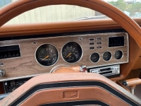 1978 Ford Mustang for sale in Michigan (ID-117132)