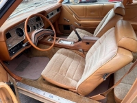 1978 Ford Mustang for sale in Michigan (ID-117132)