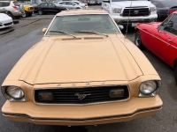 1978 Ford Mustang for sale in Michigan (ID-117132)