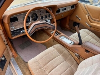 1978 Ford Mustang for sale in Michigan (ID-117132)