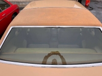 1978 Ford Mustang for sale in Michigan (ID-117132)
