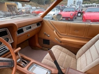 1978 Ford Mustang for sale in Michigan (ID-117132)