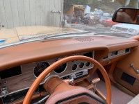 1978 Ford Mustang for sale in Michigan (ID-117132)