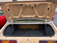 1978 Ford Mustang for sale in Michigan (ID-117132)