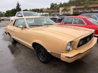 1978 Ford Mustang for sale in Michigan (ID-117132)