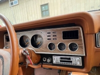 1978 Ford Mustang for sale in Michigan (ID-117132)