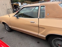1978 Ford Mustang for sale in Michigan (ID-117132)