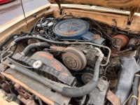 1978 Ford Mustang for sale in Michigan (ID-117132)