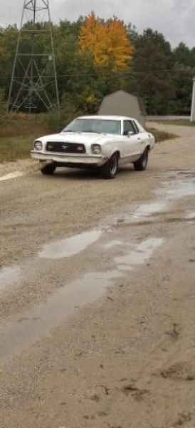1978 Ford Mustang for sale in Michigan (ID-118785)