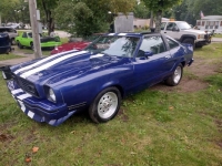 1978 Ford Mustang for sale in Michigan (ID-121837)