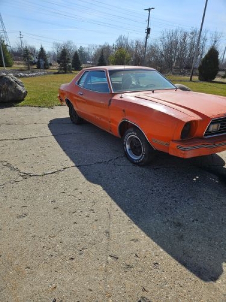 1978 Ford Mustang for sale in Michigan (ID-126266) 1978 Ford Mustang for sale in Michigan (ID-126266)
