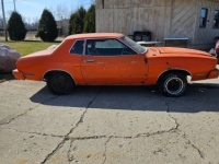 1978 Ford Mustang for sale in Michigan (ID-126266)