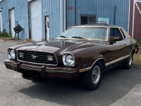1978 Ford Mustang for sale in Michigan (ID-154863)