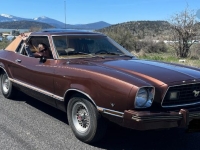 1978 Ford Mustang for sale in Michigan (ID-154863)
