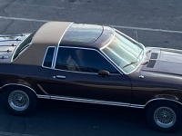 1978 Ford Mustang for sale in Michigan (ID-154863)