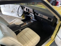 1978 Ford Mustang for sale in Michigan (ID-162265)