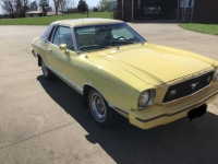 1978 Ford Mustang for sale in Michigan (ID-162265)