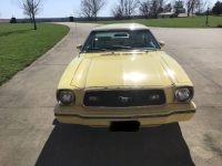 1978 Ford Mustang for sale in Michigan (ID-162265)