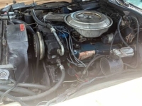 1978 Ford Ranchero for sale in Michigan (ID-145884)