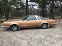 1978 Ford Thunderbird for sale in Michigan (ID-162269)