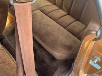 1978 Ford Thunderbird for sale in Michigan (ID-162269)