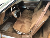1978 Ford Thunderbird for sale in Michigan (ID-162269)
