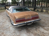 1978 Ford Thunderbird for sale in Michigan (ID-162269)