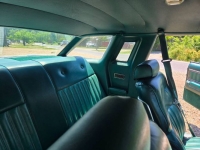 1978 Ford Thunderbird for sale in Michigan (ID-163757)