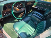 1978 Ford Thunderbird for sale in Michigan (ID-163757)