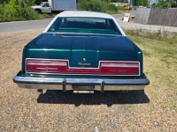 1978 Ford Thunderbird for sale in Michigan (ID-163757)
