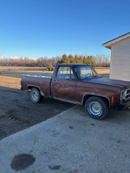 1978 GMC C10 for sale in Michigan (ID-155134)