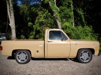 1978 GMC Sierra for sale in Michigan (ID-127838)