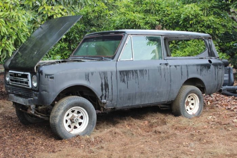 1978 International Scout for sale in Michigan (ID-111534)