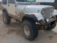 1978 Jeep CJ for sale in Michigan (ID-126293)