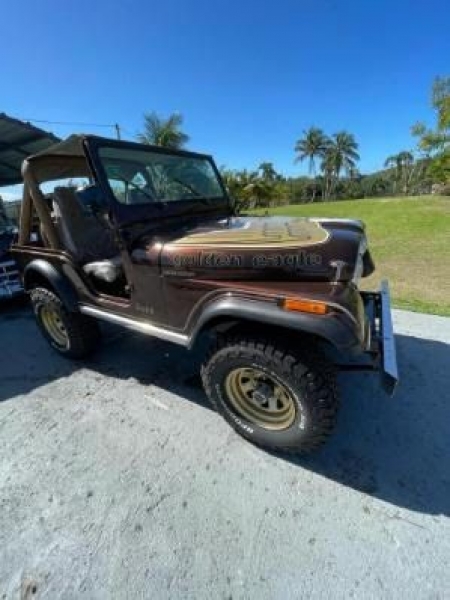 1978 Jeep CJ5 for sale in Michigan (ID-117787) 1978 Jeep CJ5 for sale in Michigan (ID-117787)