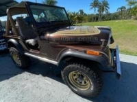 1978 Jeep CJ5 for sale in Michigan (ID-117787)